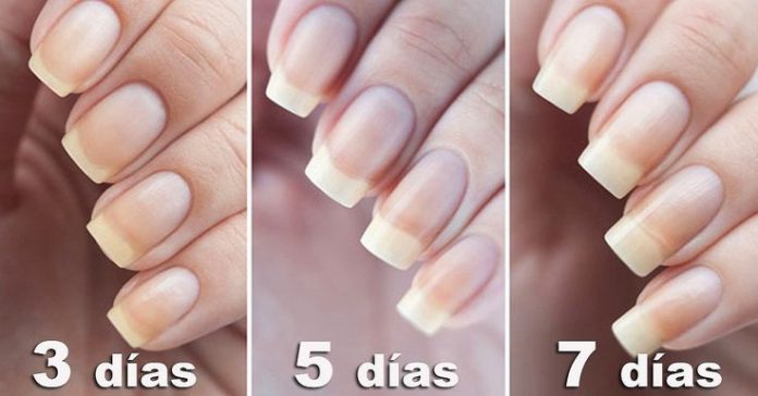 Aprende a usar el bicarbonato de sodio para tener uñas más largas y fuertes  – Mujeres por Sinaloa